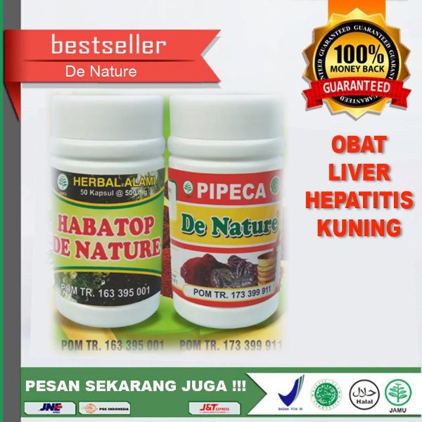 Obat Penyakit Kuning Penyakit Liver Kronis Obat Penyakit Liver