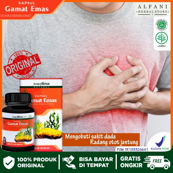 Sudah berobat 3x ke dokter katanya Jual Obat Untuk Radang Otot Jantung Miokarditis Nyeri Dada Peradangan Infeksi Virus Bakteri Jamur Serangan Jantung Berdebar Cepat Sakit Iskemia Sesak Nafas Tungkai Bengkak Lemas Gamat Emas 50 Kapsul Original