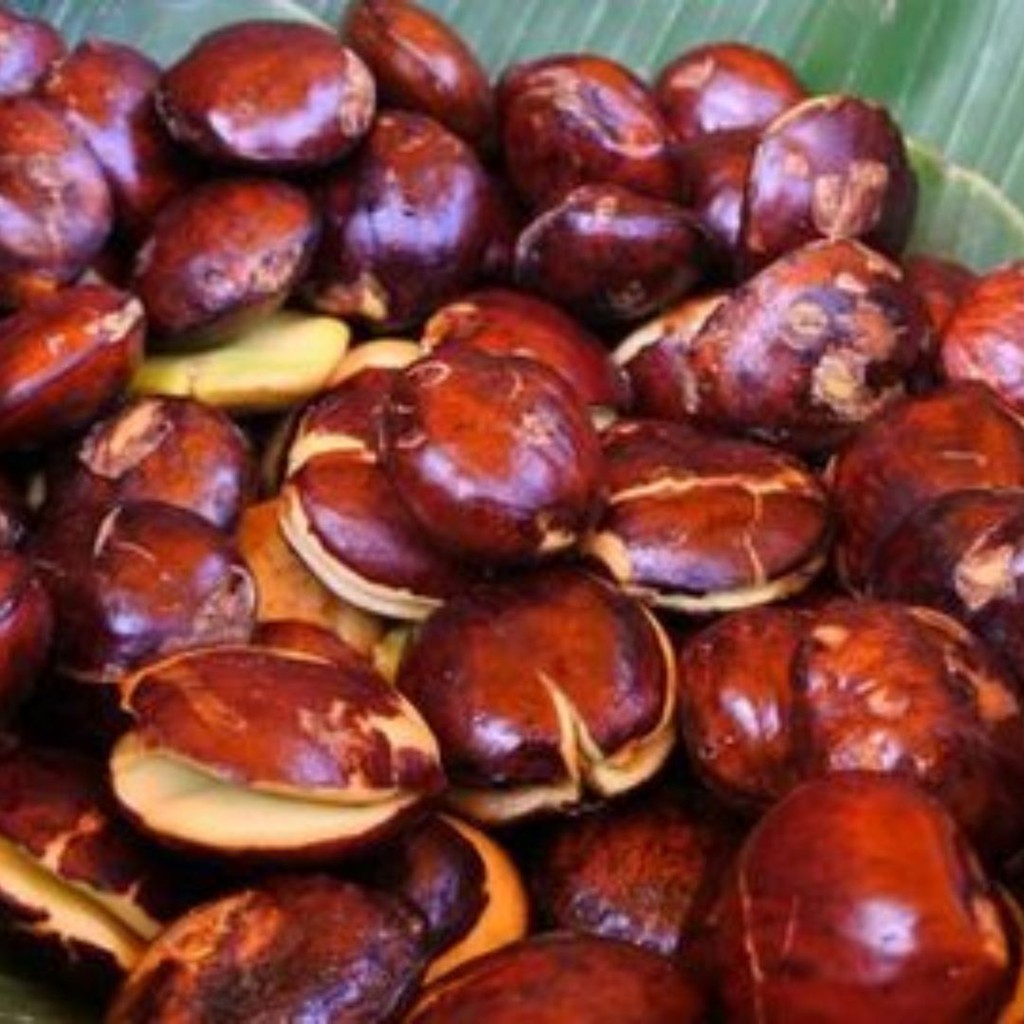 Berkat seliwati, jengkol kini menjadi simbol . Jual Pupuk Tanaman Jengkol Yang Bagus Booster Pelebat Pohon Buah Jengkol Indonesia Shopee Indonesia