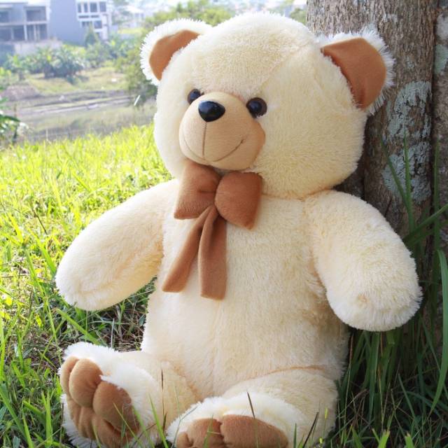 Gratis Download Gambar Jual Boneka Teddy Bear Besar Coklat Beserta Harganya Terkeren by www.lampunghits.com