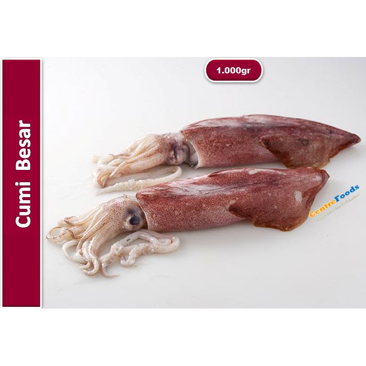 Badan pusat statistik, nilai ekspor cumi, sotong dan gurita di indonesia terus. Cumi Besar Fresh Sotong Harga Per Kg Shopee Indonesia