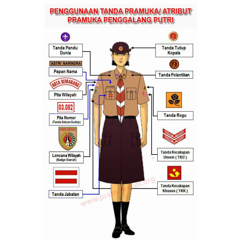 Atribut Tanda Pengenal Pramuka Siaga Penggalang Penegak Putra Putri Indonesia Berbentuk lingkaran putri dan segi delapan putra dengan warna dasar kuning.