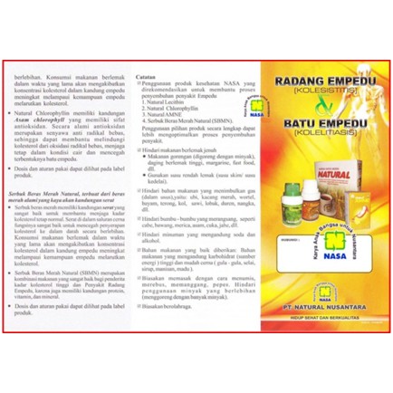 Paket Herbal Ori Nasa Obat Penyakit Radang Empedu Kolesistisis