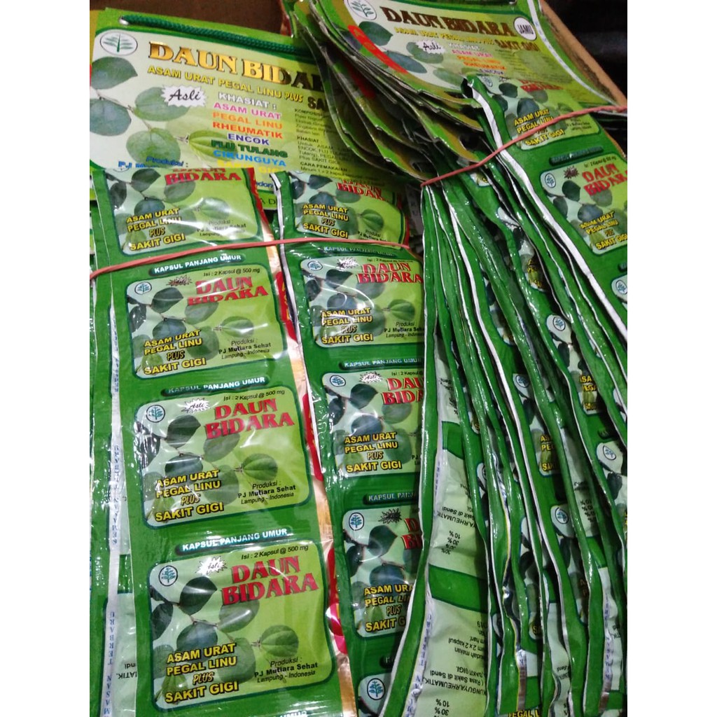 Bibit Daun Bidara Buah Bidara Khasiat Daun Bidara Bagi Kesehatan