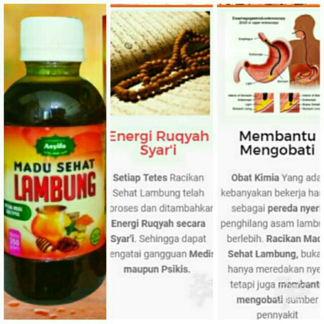 Madu Sehat Lambung Maag Kronis Asam Lambung Assyifa Shopee Indonesia