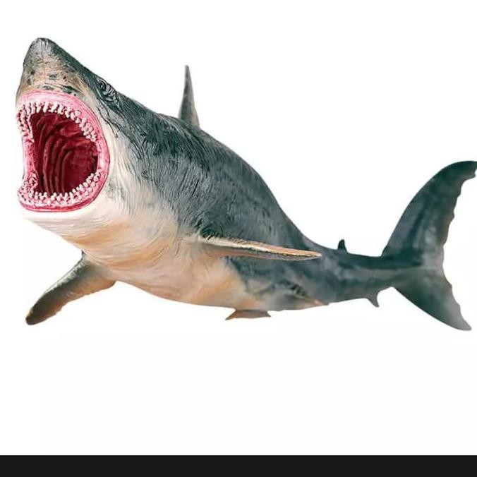 Para ilmuwan telah memastikan bahwa predator laut tersebut sudah punah. Mainan Dinosaurus Megalodon Mainan Ikan Hiu Diskon Shopee Indonesia