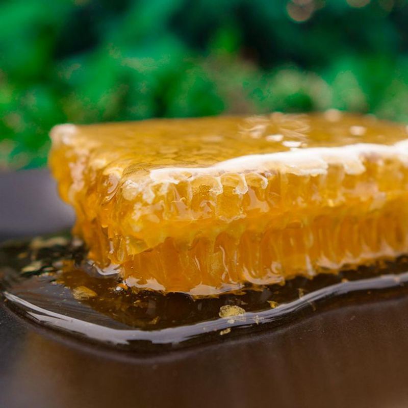 madu murni extra sarang madu 380g shopee indonesia on where can i buy honeycomb near me
