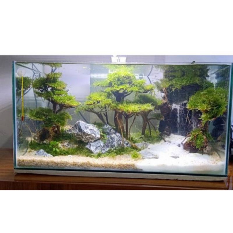 Untuk membuatnya diperlukan bebatuan, kayu dan tanaman. Harga Waterfall Aquascape Terbaru September 2021 Biggo Indonesia