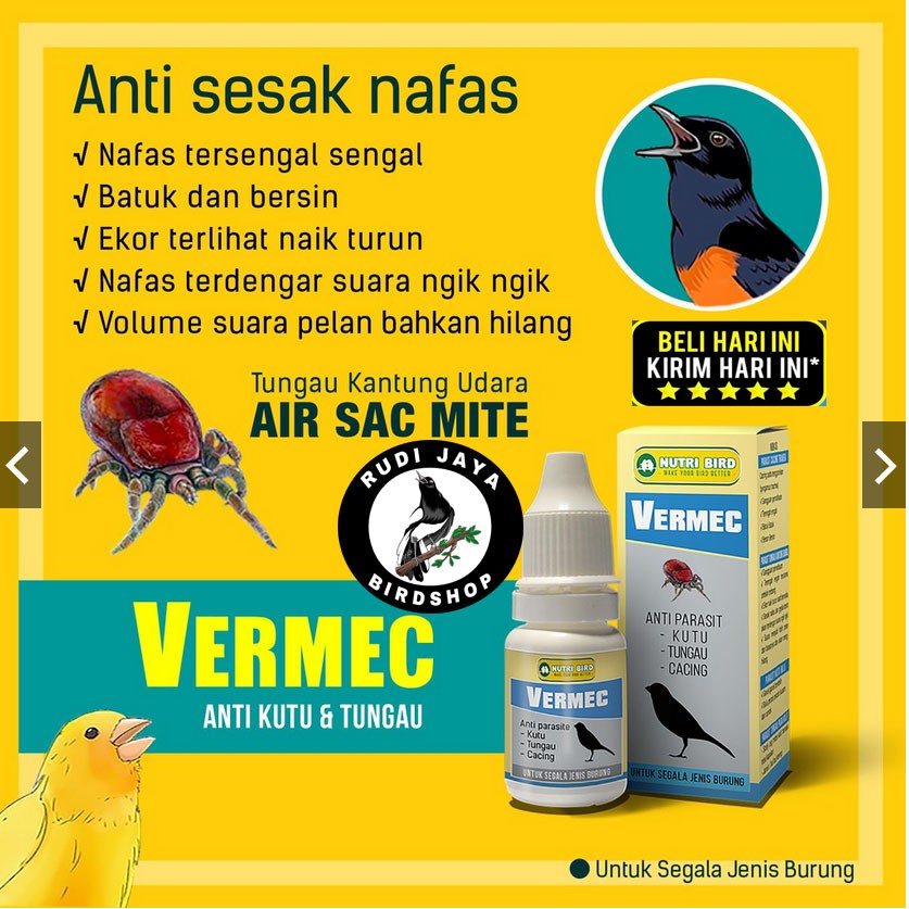 Obat sesak nafas burung vitamin burung gangguan pernapasan nafas di tokopedia ∙ promo pengguna baru ∙ cicilan 0% ∙ kurir instan. Jual Vermec Nutribird Obat Burung Paten Import Sakit Anti Sesak Nafas Megap Suara Serak Ganggu Pernafasan Indonesia Shopee Indonesia