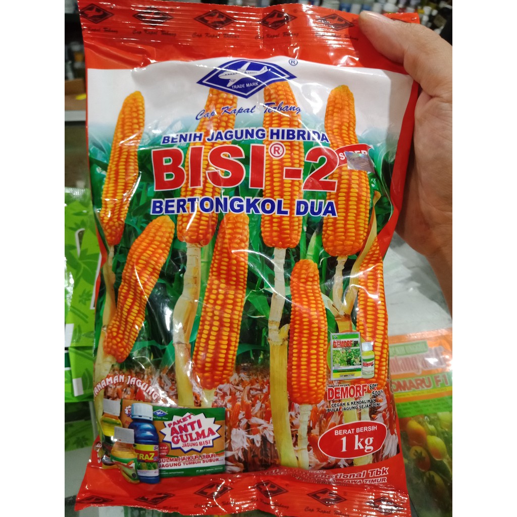 Bibit Jagung Tongkol 2 - BIBIT TAMAN