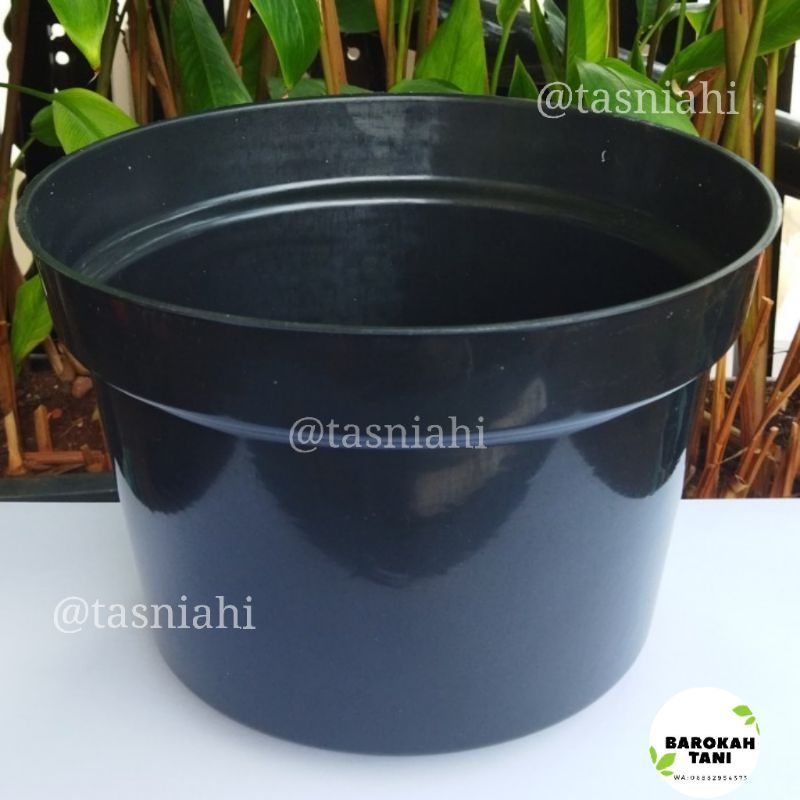 Harga Pot Bunga Plastik Yang Besar