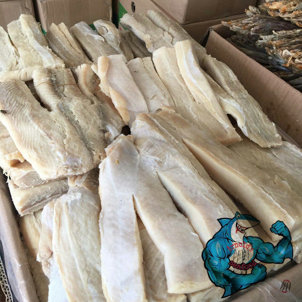 Free Gambar Pesmol Ikan Cucut Laut By Renie Suwarna Langsungenak Gambar Gratis Terbaru by Lampung Hits