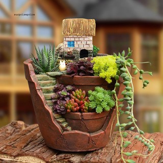 Try to search a pot or maybe a stone pot that has a unique shape. Miniature Garden Ornaments 9 Pcs Cute Mini Resin Succulent Cactus Fairy Garden Accessories Diy Kits For Bonsai Craft Cactus Garden Micro Landscape Dollhouse Indoor Outdoor Home Decor Decorative Garden Stakes Kolenik Patio