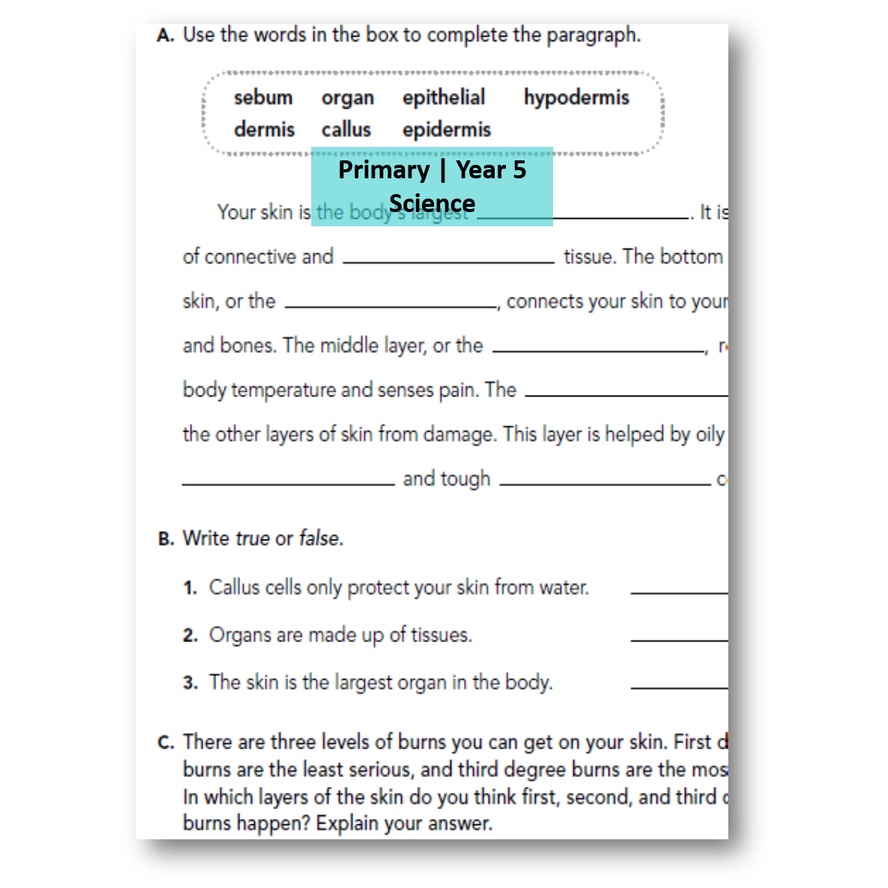 2 ks1 2 primary science worksheets with answer year 1 year 2 year 3 year 4 year 5 year 6 shopee malaysia