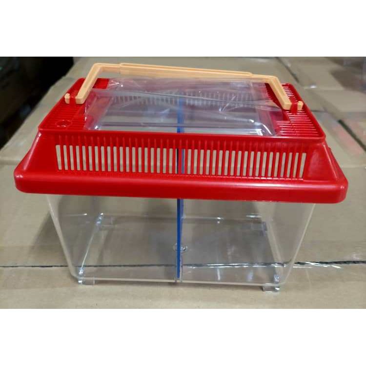 Gambarkan aksi seekor ikan laga dari jarak dekat dengan. Bekas Ikan Laga Akuarium Ikan Laga Balang Plastik Balang Kuih Balang Kaca Aquarium Betta Tank House Double Plastic Akuar Shopee Malaysia