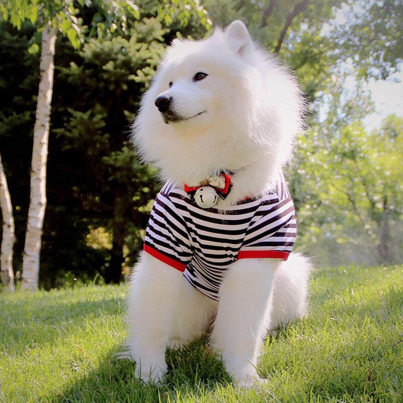 Dog Clothes Summer Dress Thin Puppies Large Dog Big Dog Samoyed Jinmao Bomei Sum Shopee Malaysia