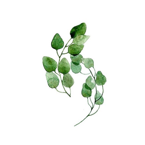 Setiap batang pokok ada lukisan binatang. Poster Tanaman Tropika Gaya Skandinavia Daun Hijau Gambar Hiasan Dinding Seni Lukisan Kanvas Untuk Ruang Tamu Dekorasi Rumah04 Shopee Malaysia