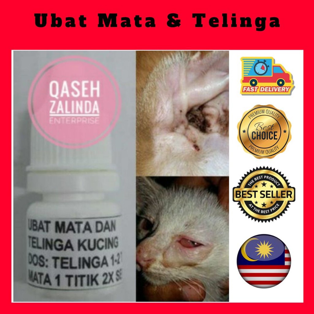 Terlaris Ubat Sakit Mata Dan Telinga Titis Untuk Kucing Anjing