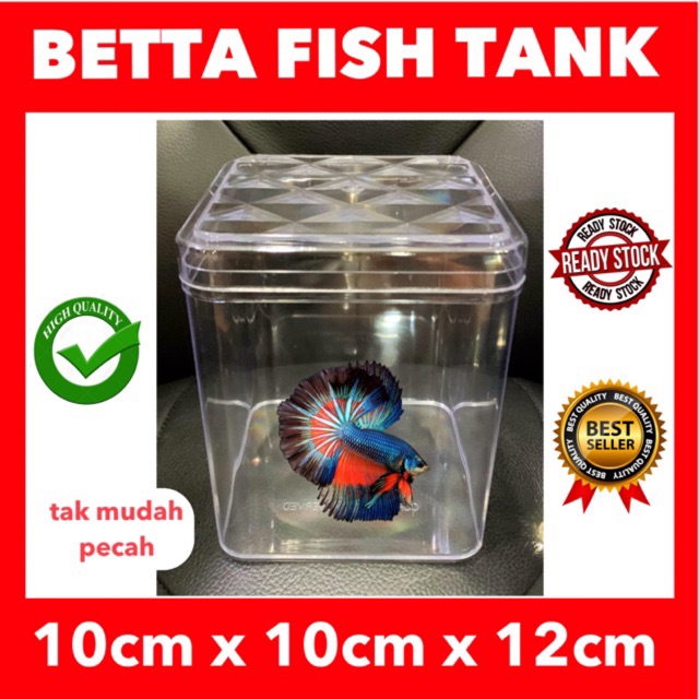 Siapkan juga gelas plastik untuk tempat ikan cupang betina. Akuarium Ikan Laga Prices And Promotions Sept 2021 Shopee Malaysia