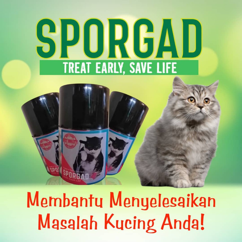 Mula2 kucing saya ni memang takut ngan orang. Ubat Kucing Hilangkan Kurap Paling Mujarab Shopee Malaysia