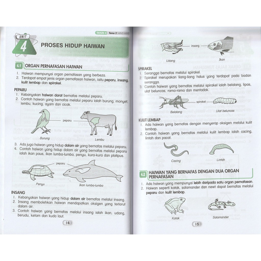 Contoh Haiwan Bernafas Melalui Peparu 2 Haiwan Yang Bernafas Melalui Peparu The Irlitoc