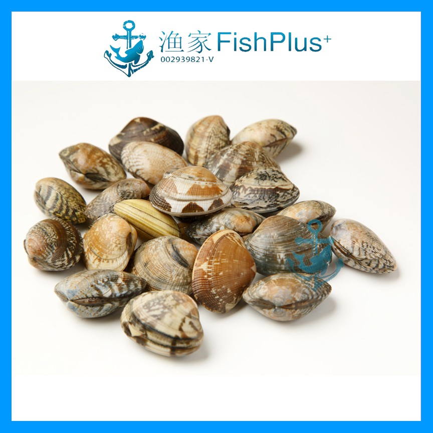 They are only available depending on our . Buy Asari Short Neck Clam 500g Lala Kepah è±è¤å¦å¦ Seetracker Malaysia
