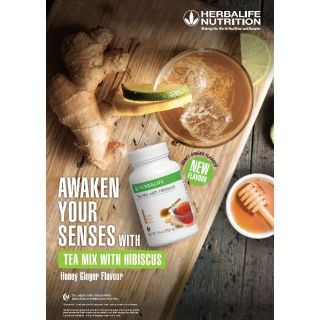 Herbal Aloe Concentrate Mix Mango Flavour Herbalife Shopee