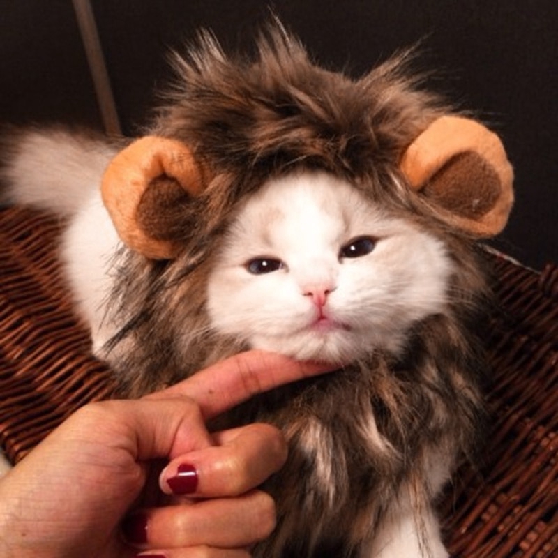 Funny Cute Pet Costume Cosplay Lion Mane Wig Cap Hat For Cat Halloween Xmas Clothes Fancy Dress With Ears Autumn Winter Shopee Malaysia