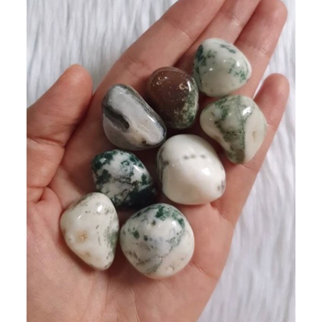 Tree Agate Cabochons