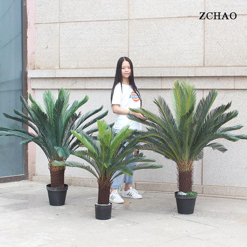 Iron Tree High Resolution Stock Photography And Images Alamy