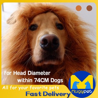 Pet Cat Dog Wig Emulation Lion Hair Mane Ears Head Cap Dress Up Costume Muffler Scarf Shopee Philippines