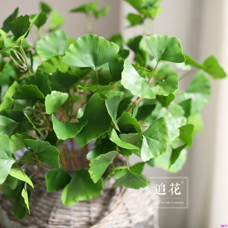 Awesome Tree Photography Made Easy Take Beautiful Forest Photos