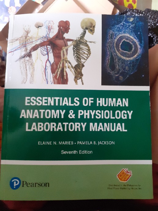 Human anatomy and physiology 7th edition. Essentials Of Human Anatomy Physiology Laboratory Manual By Marieb 7th Edition C2018 Shopee Philippines