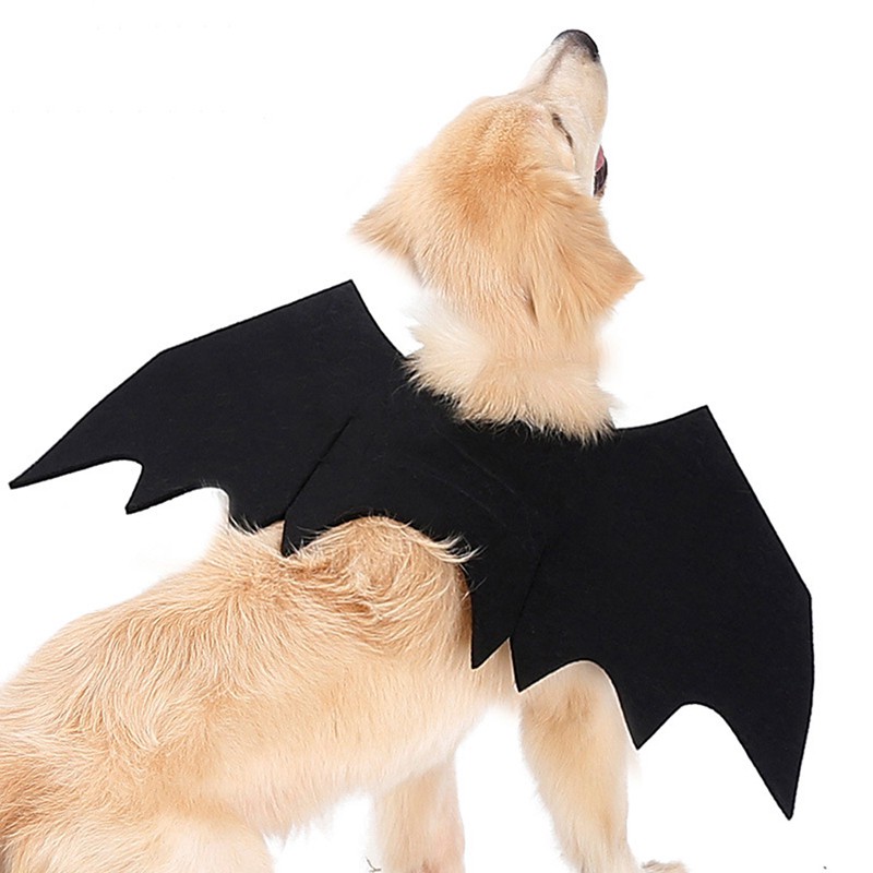 Flyworld Wings Collar Harness Decor Puppy Pet Cat Black Bat Dress Up Shopee Philippines