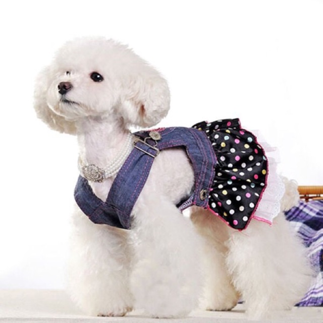 Pet Cat And Dog Jumper Denim Dress Shopee Philippines