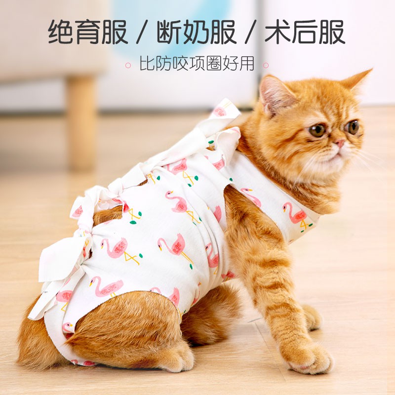 Cat Clothes Sterilization Clothes Male Female Cat Anti New Breathable Surgical Shopee Philippines