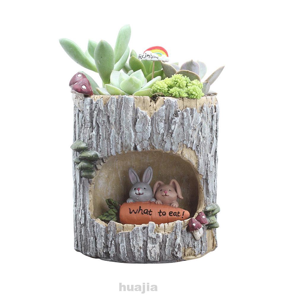 Aloe Hercules Tree Aloe