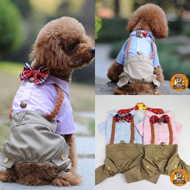 Pet Male Braided Jumpsuit Dog Cat Clothes Costumes Formal Shopee Philippines