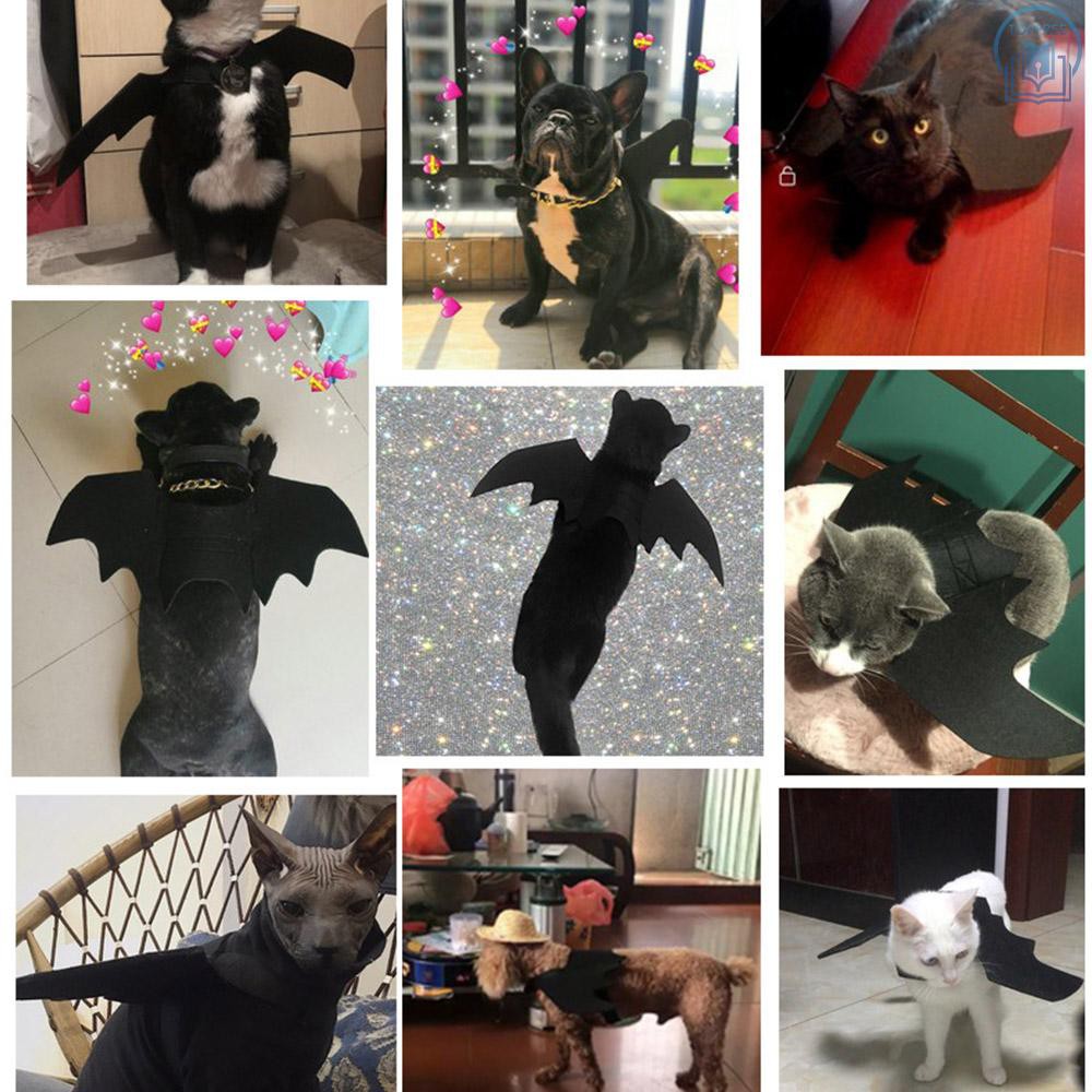 T F Halloween Pet Bat Costume Cat Bat Costume For Halloween Pet Fancy Dress For Cats Small Dogs Shopee Philippines