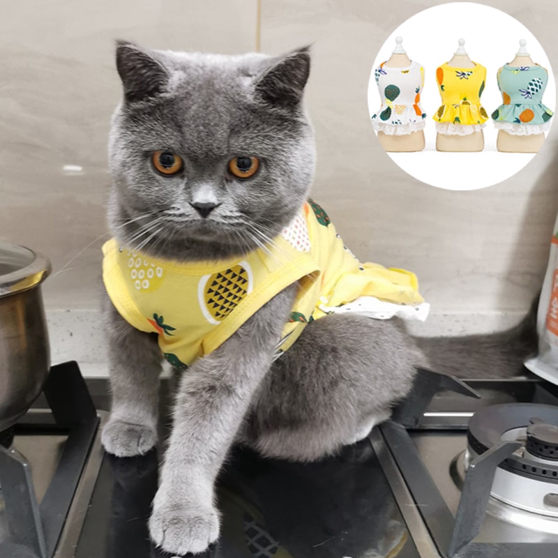 Summer Pet Cat Clothes Dress For Cats Pineapple Cat Skirt T Shirt Sweet Mascotas Stephen Dresses Cat Costume Shopee Philippines