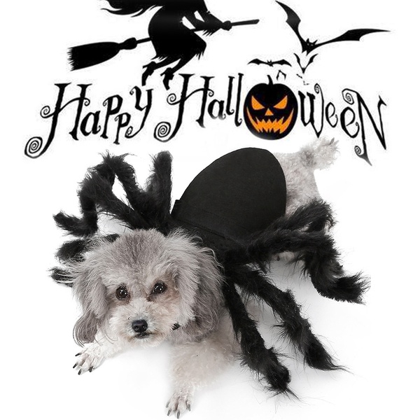 Halloween Spider Pet Costume Halloween Cosplay Costumes For Cat Dog Funny Party Dress Up Shopee Philippines