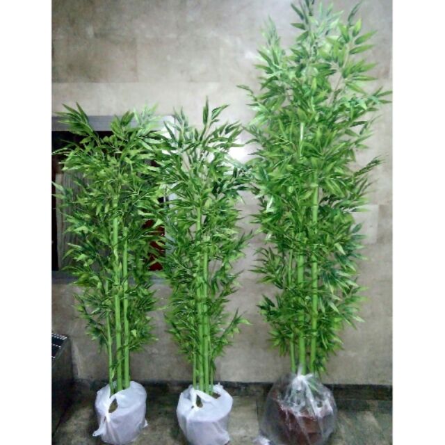 Page 4 Of Artificial Plant And Tree Company News Sharetrade