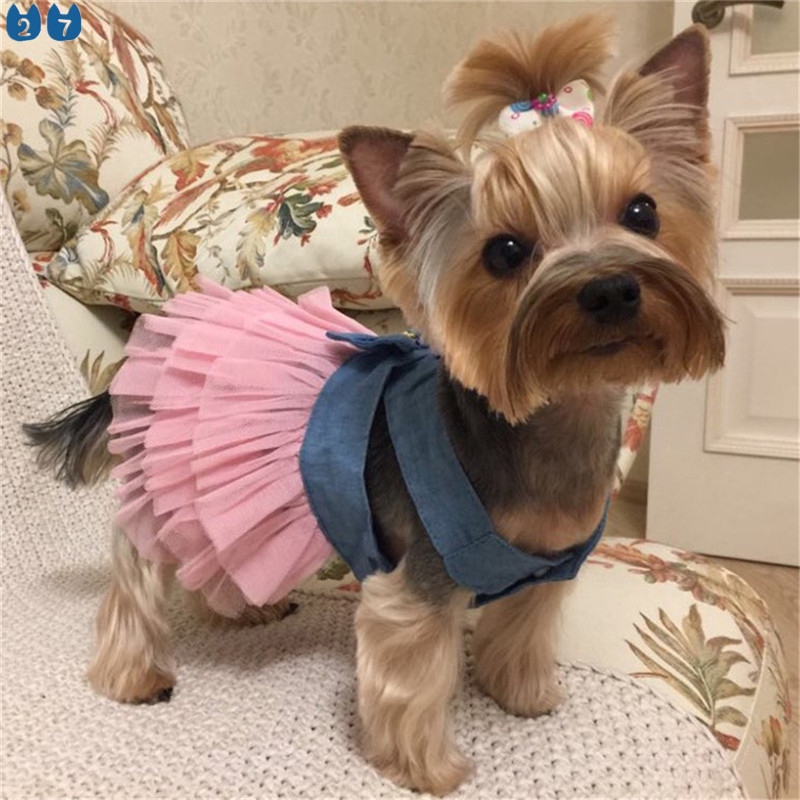 Summer Dress For Dog Pets Dog Clothes Chihuahua Wedding Dress Skirt Puppy Clothing Spring Dresses For Dogs Jean Pet Clothes Xs L Shopee Philippines