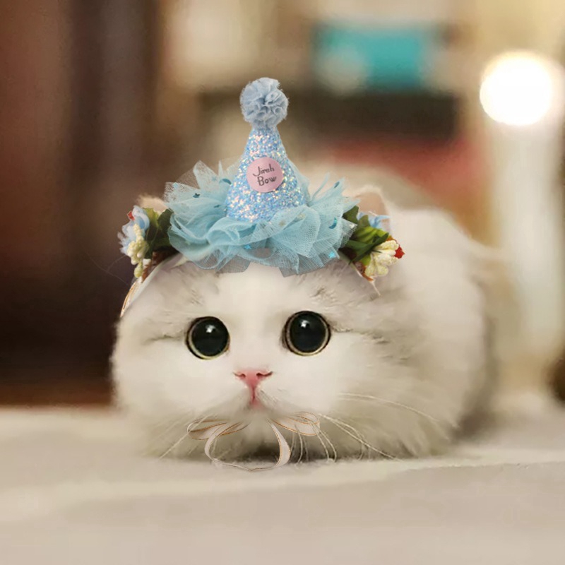 Pet Headdress Headgear Korean Dress Up Lace Accessories Creative Cat And Dog Headband Shopee Philippines