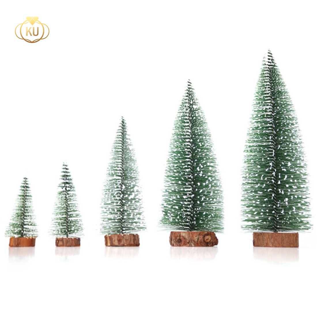 How To Propagate Melia Azedarach White Cedar Youtube