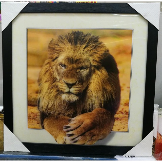 Alex brushalluraarima maduraiarvoaudiowidebangersbebas neuebungee inlinecalistogacookiecourier primecourgettedamiondancing . 3d Frame Shopee Philippines