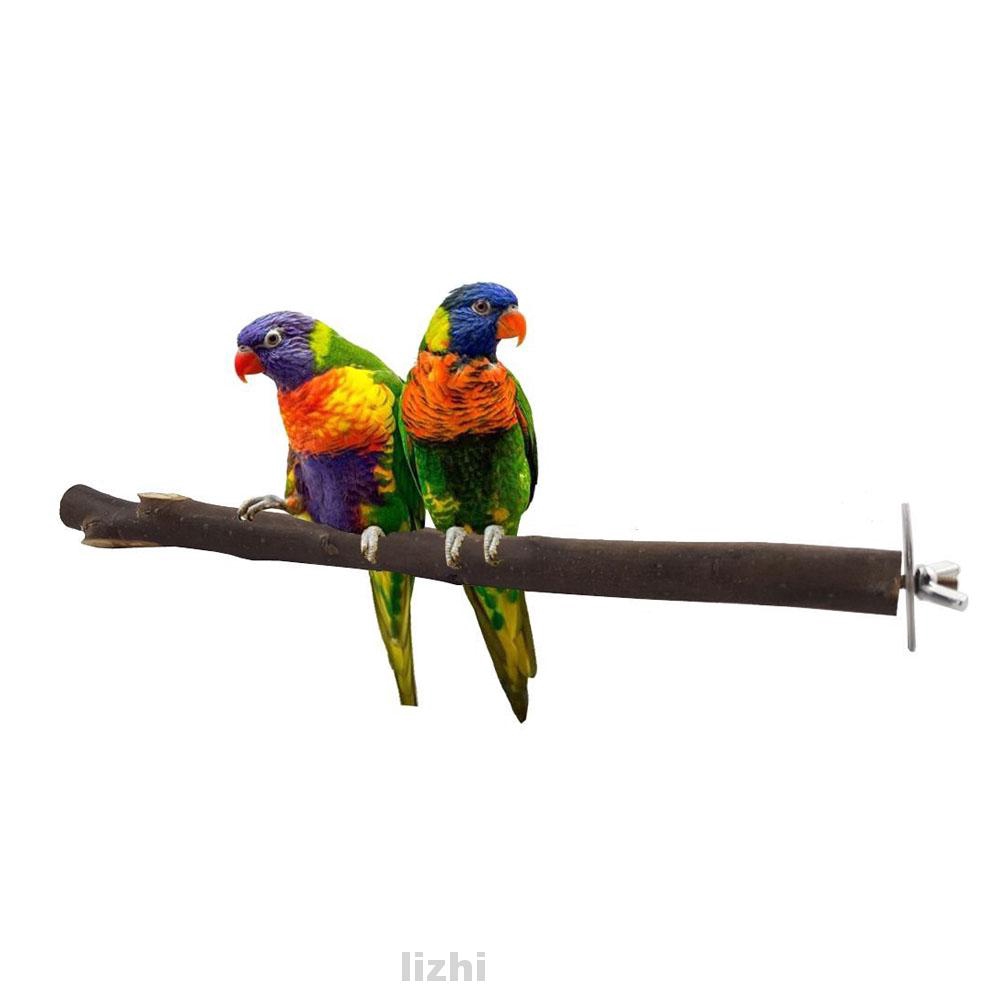 Special nu perches and parrot training perch stands for birds of all sizes. Bird Parrot Parakeet Cockatiel Free Standing Wood Perch Fashion Shopee Philippines