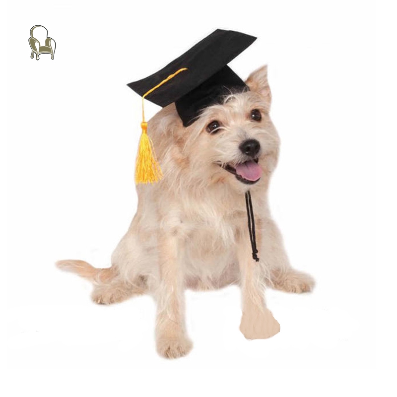 Nu Pet Graduation Caps With Yellow Tassel Dog Cat Holiday Costume Halloween Dress Up Ph Shopee Philippines