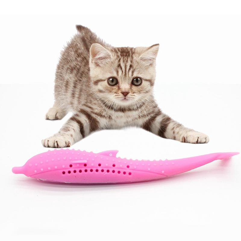 Good teething toys for cats