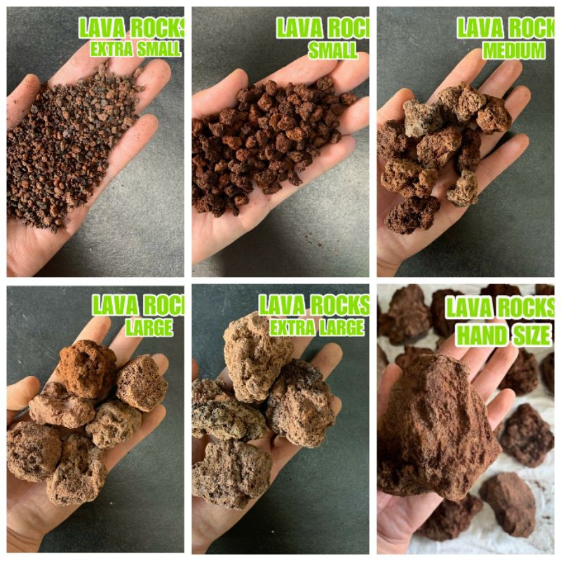 Red Lava Rock 380g Filter Filtering Media Aquarium Decoration 100 Natural Walmart Walmart Adding lava rocks in the aquarium not only enhances your aquarium beauty but also makes a more comfortable and home-like environment to your aquarium inhabitants.